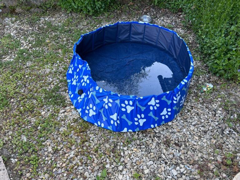 doggy paddling pool