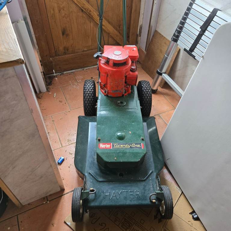 image for Hayter Twenty One