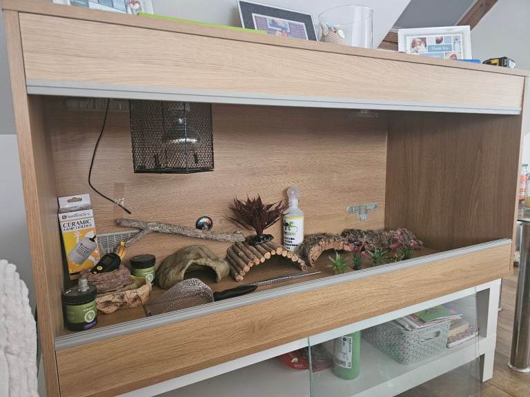 Vivarium starter kit