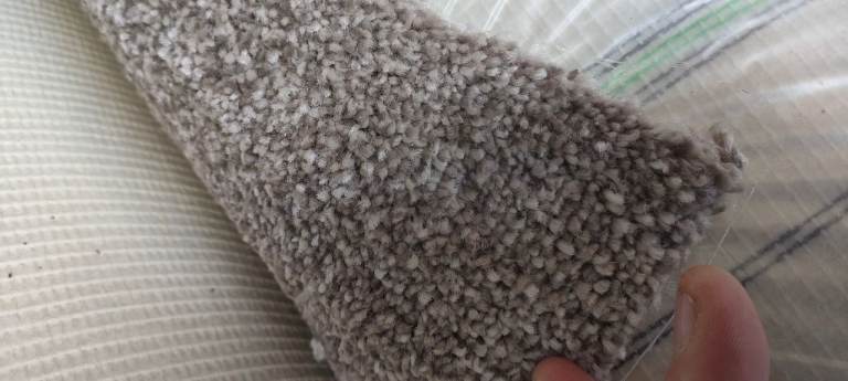 New beige carpet 