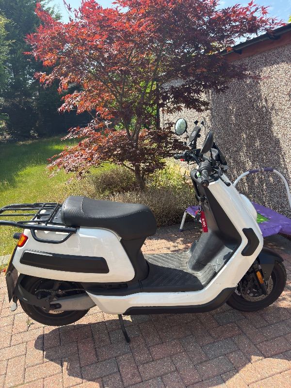 NQi Gt Cargo 2021