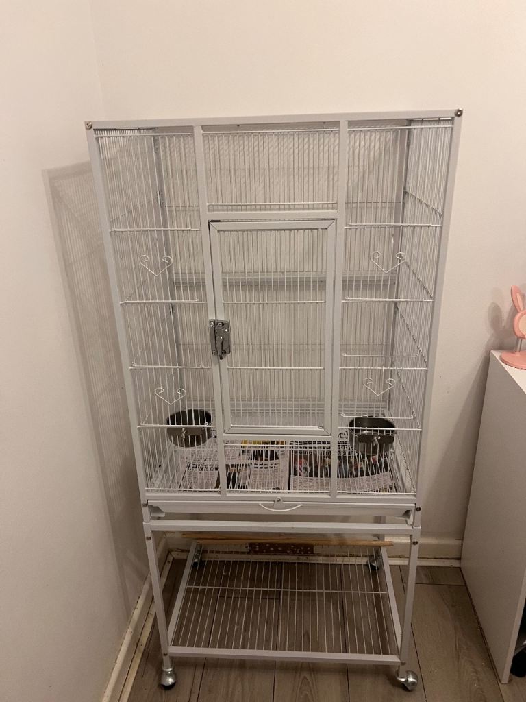 Large Birds cage