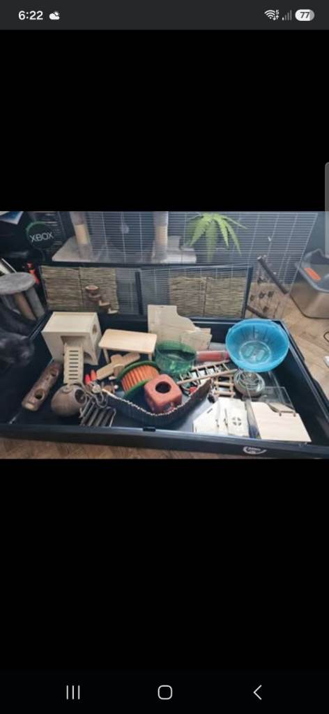 Hamster cage 
