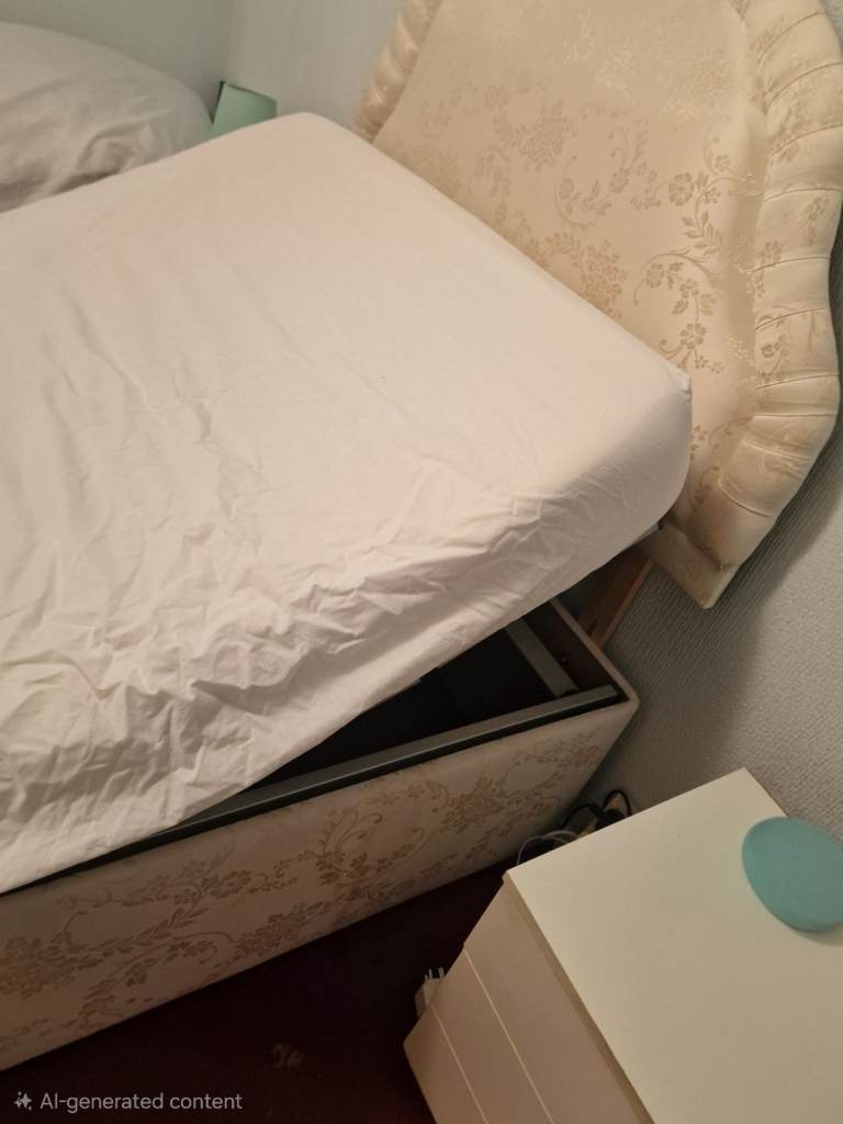 Electric large single bed with storage drawer.