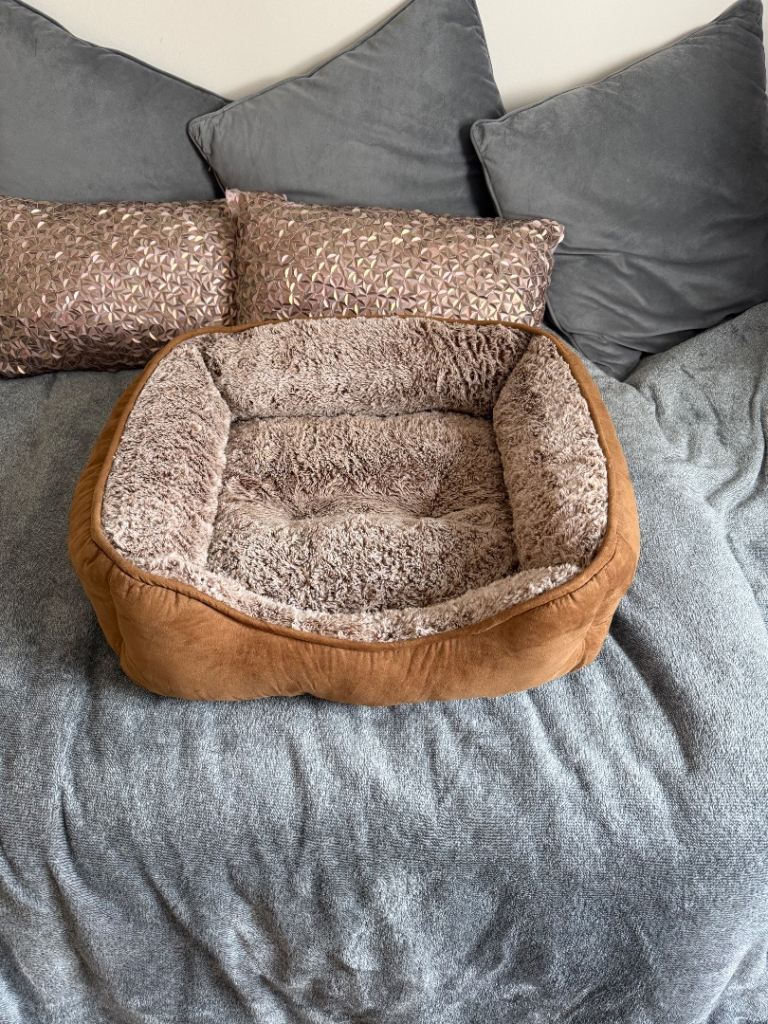 Small Dog Bed