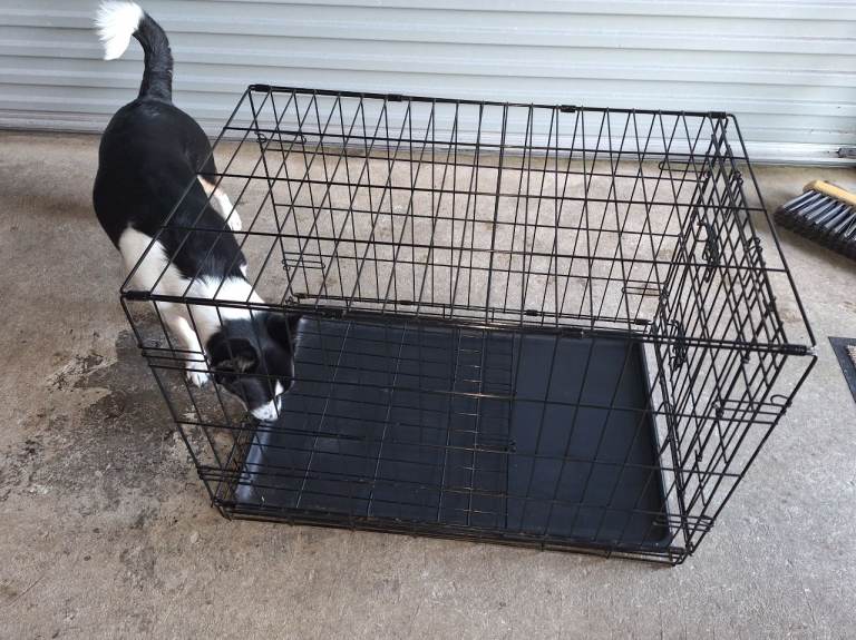 Pet cage crate dog cat