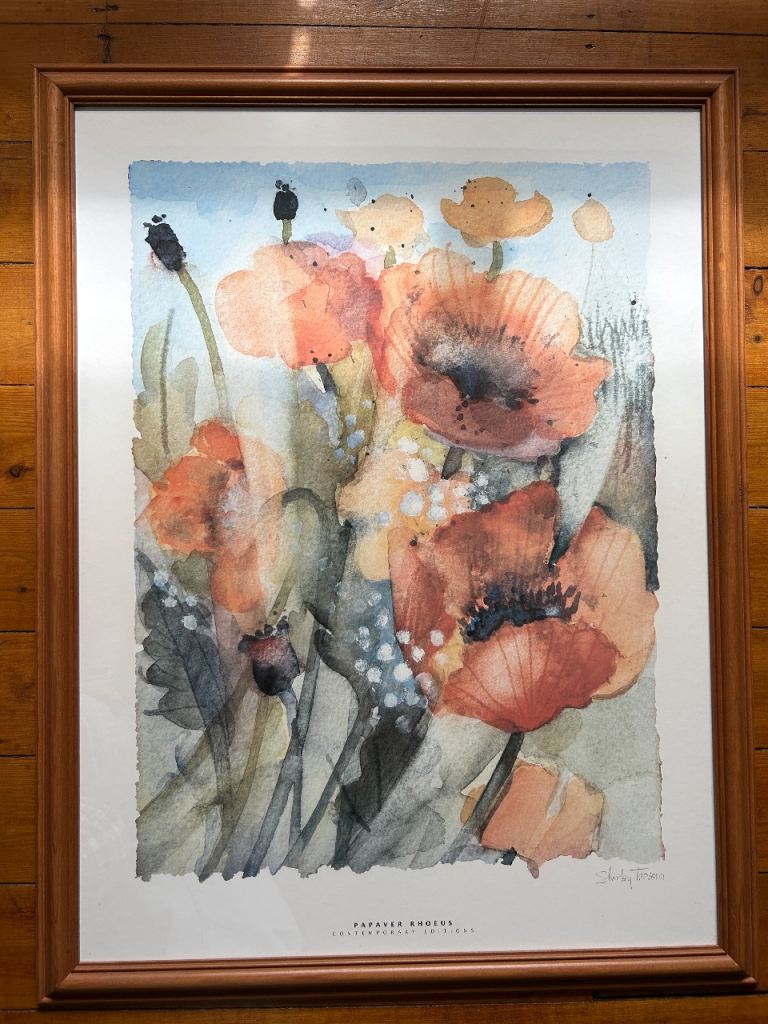 Framed Poppy Print by Shirley Trevena