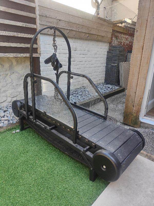 Medium dog treadmill
