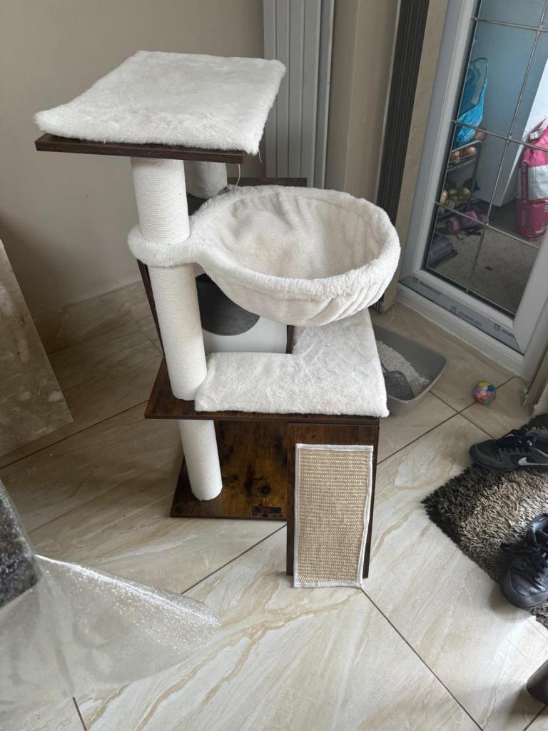 Kitten tower tree house 
