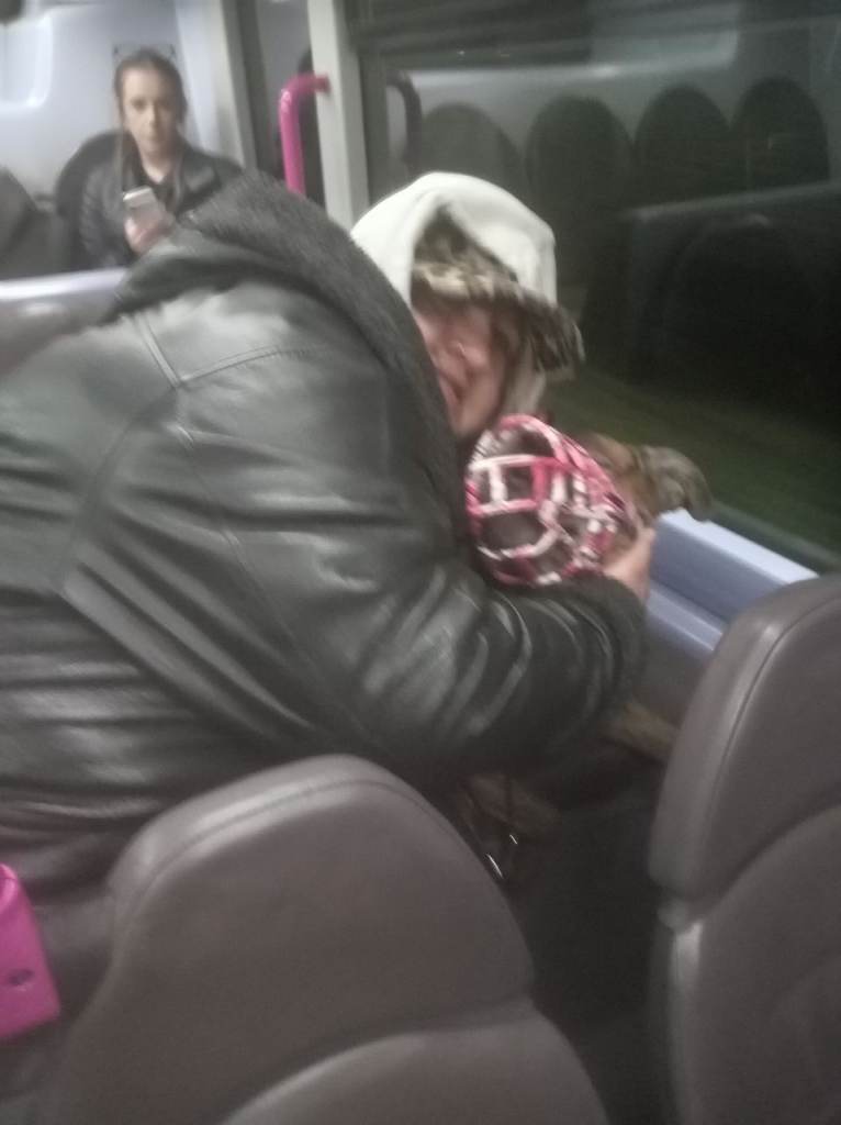 Pink muzzle for an xl bully