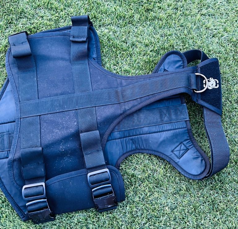 Dog harness 