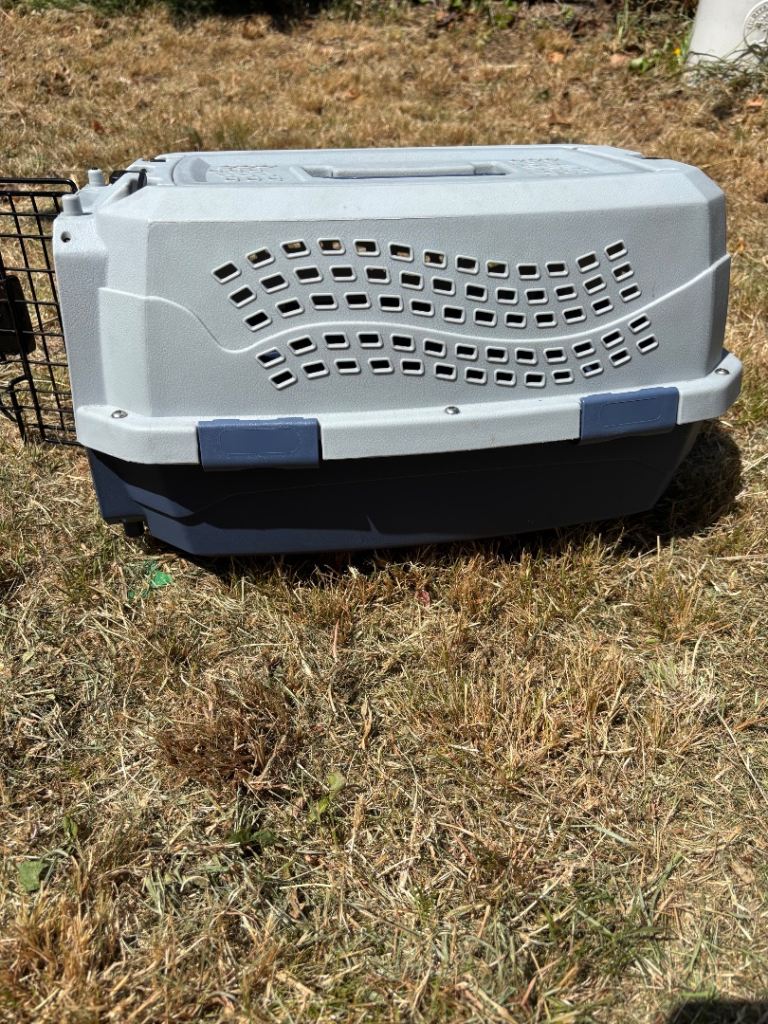 Small pet carrier