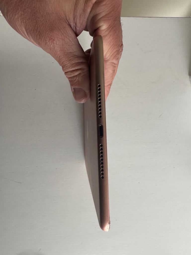 iPad mini 5th generation 