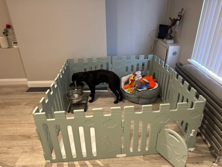 Large Dog Pen