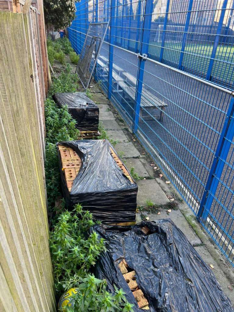 Reclaimed yellow bricks 650 complete bricks and 150 half bricks