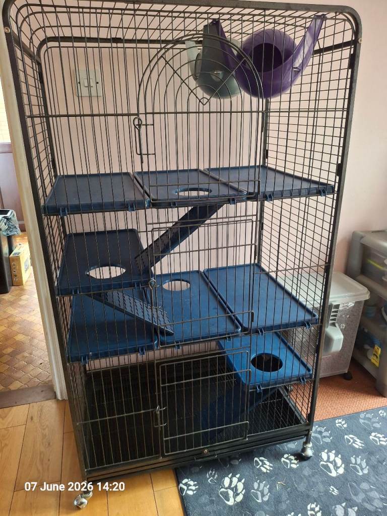 Small animal cage