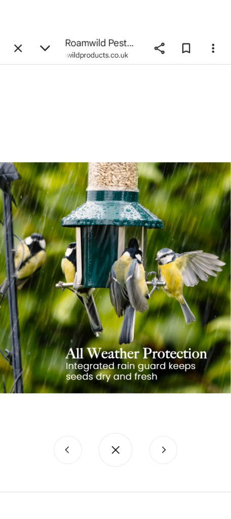 Roam wild bird feeder