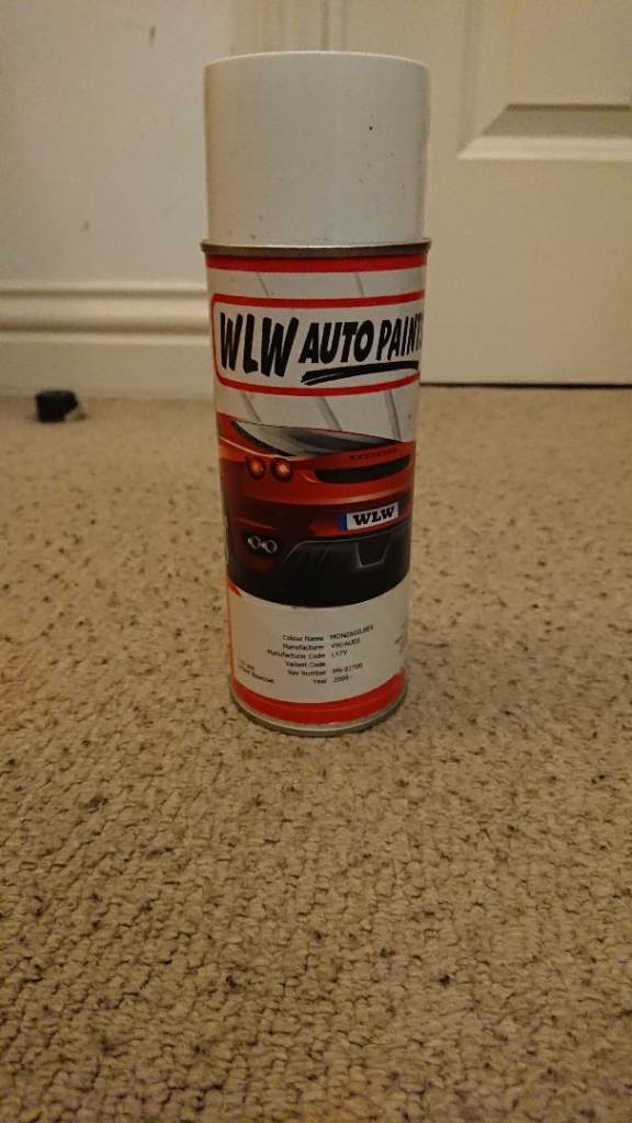Audi Monzo Silver Paint