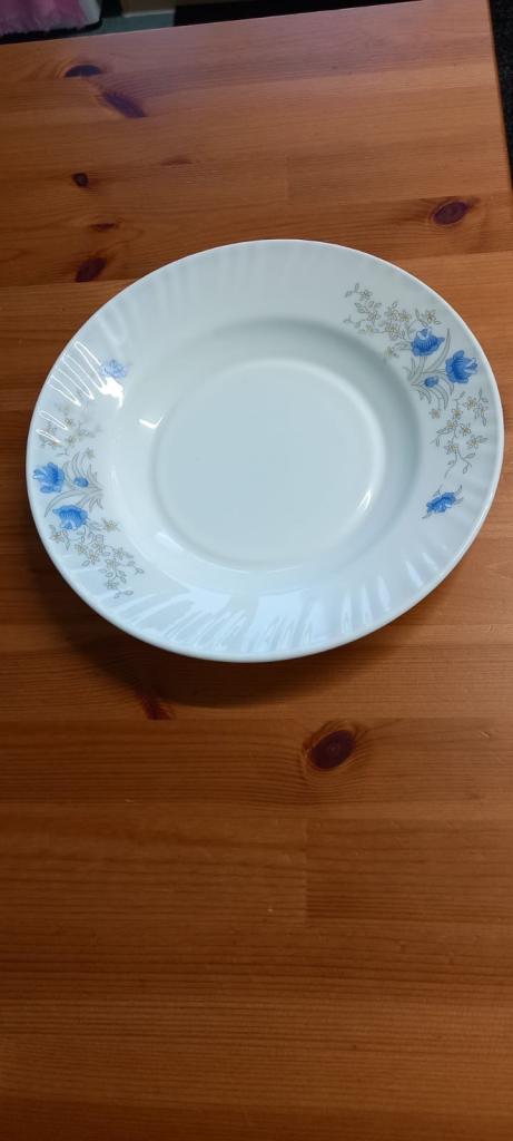 1 Available Kitchen Food Plate