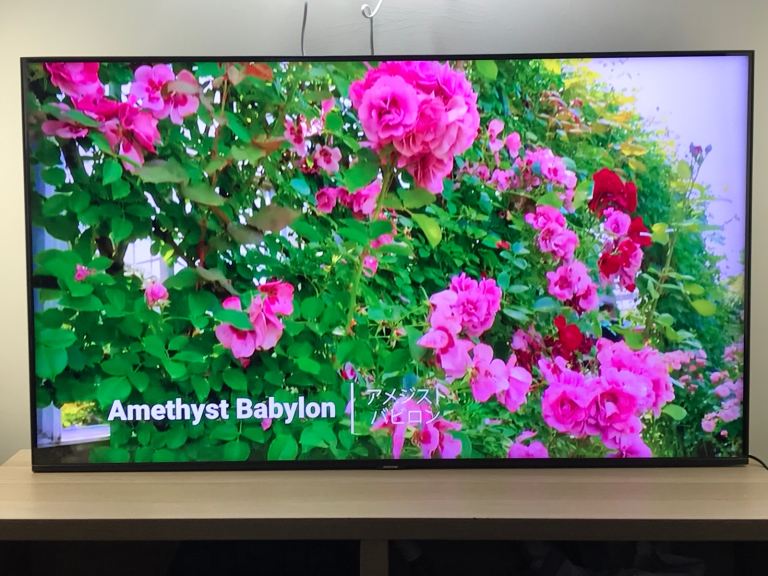 SAMSUNG 55 inch Smart slim 4K crystal UHD HDR LED TV Wi-Fi -freeview 2024 like new -