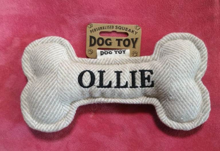 Ollie Soft Squeaky Bone Shaped Dog Toy - Brand New