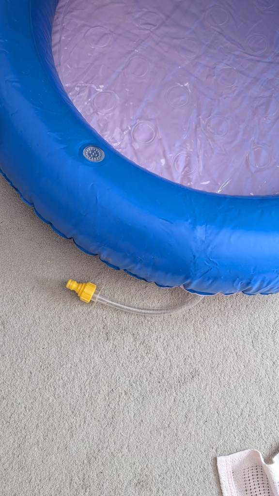 Elephant baby pool with fountain