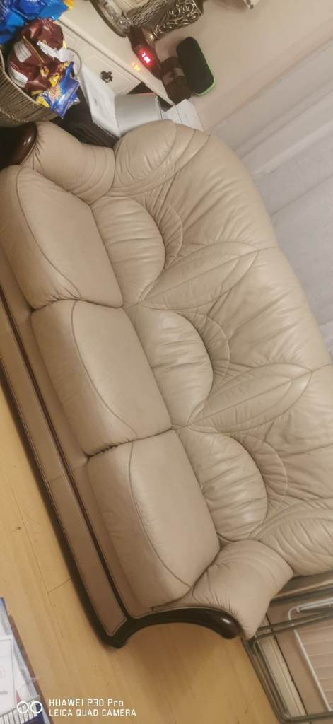 Free genuine leather sofa