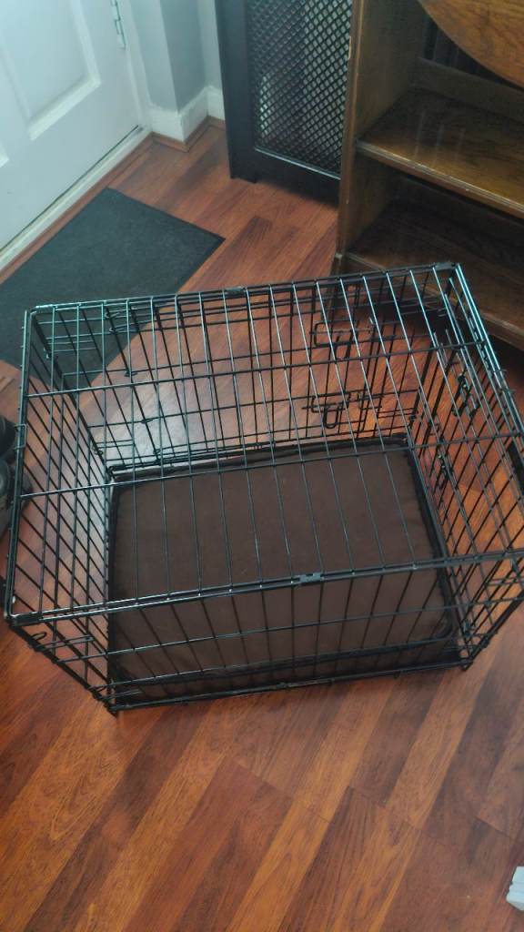 Dog crate 