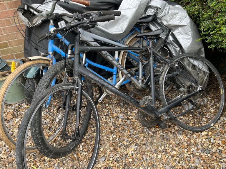 Mix of adult and kids bikes