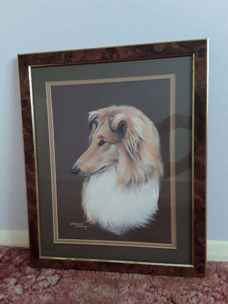 Pollyanna Pickering Collie Dog Framed Print