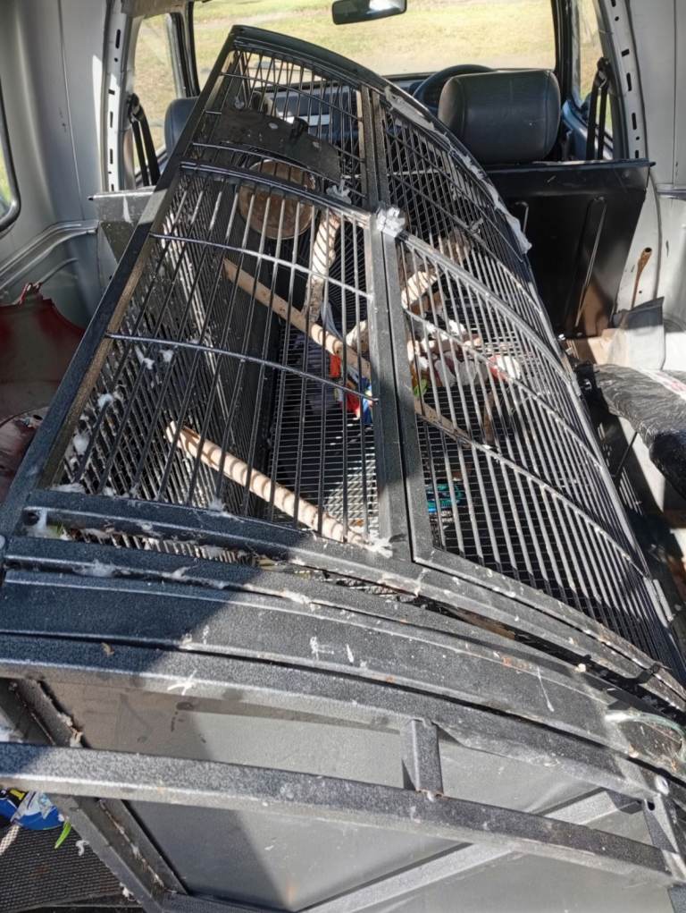 Large corner bird cage, quality Liberta brand..