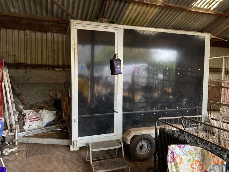 Mobile Dog Grooming Salon 