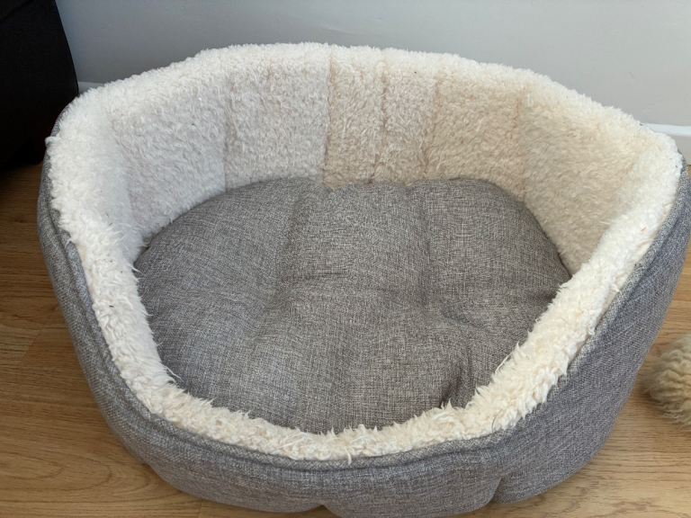 Medium sized padded comfortable dog bed