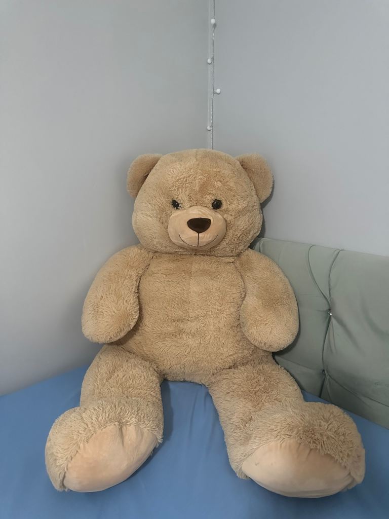Large teddy 
