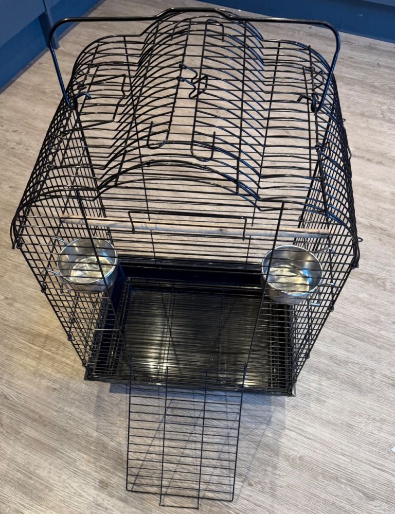Bird Cage