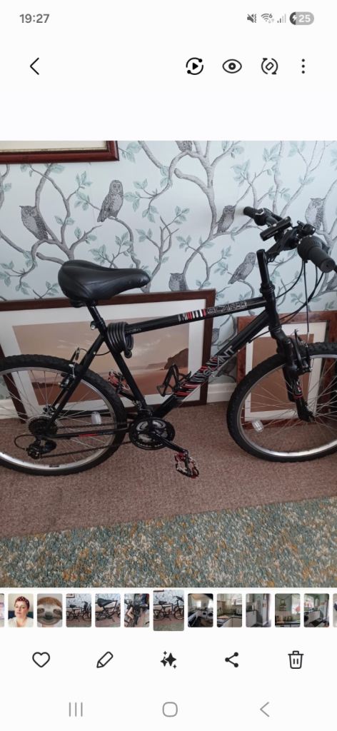 Men’s mountain bike