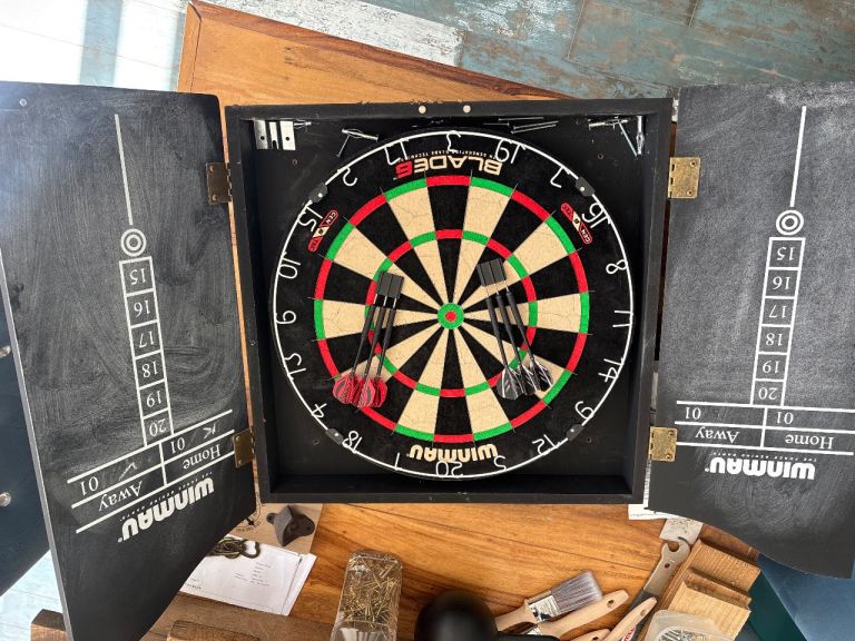 Dart board and surround case