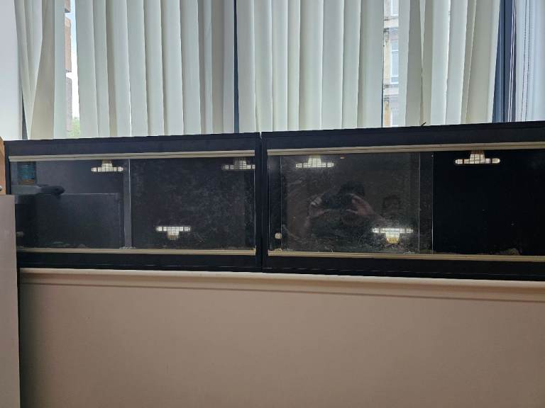Large Black Reptile Vivarium with Sliding Glass Doors