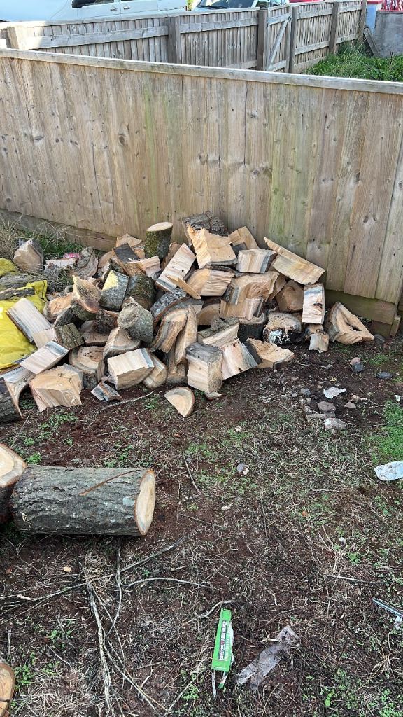Wanted any unwanted logs