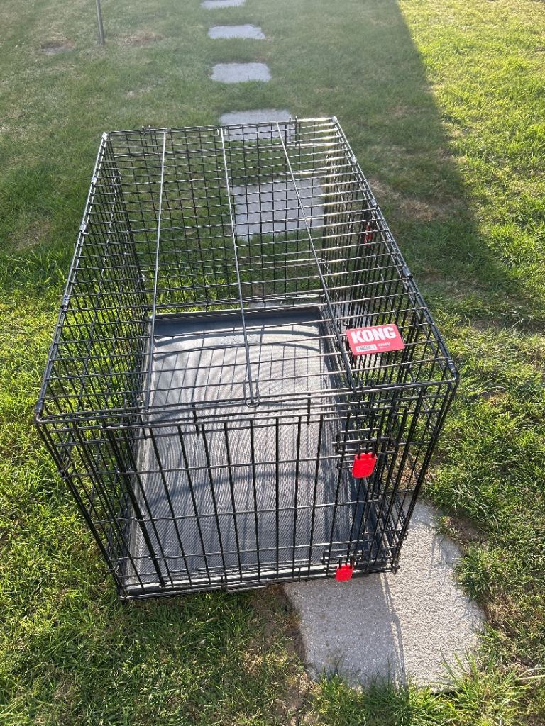 Kong Dog Crate
