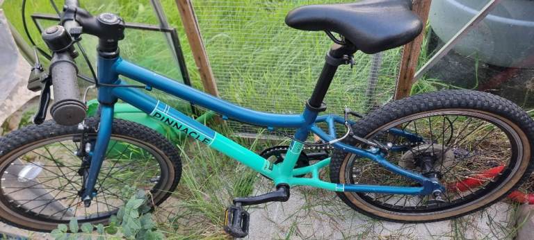 Ash pinnacle kids bike 20 inch wheels