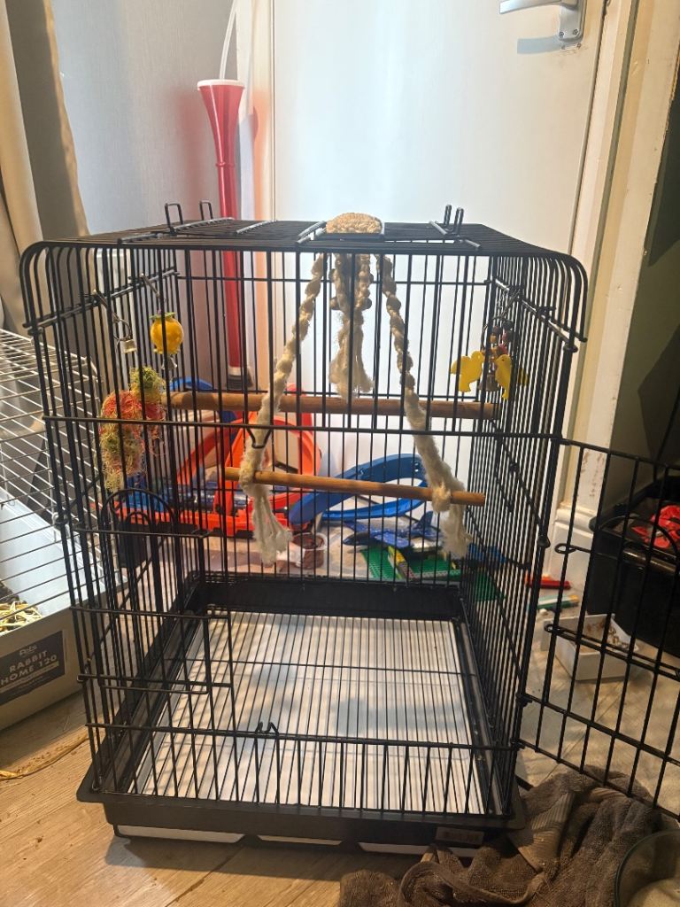 Budgie Cage 
