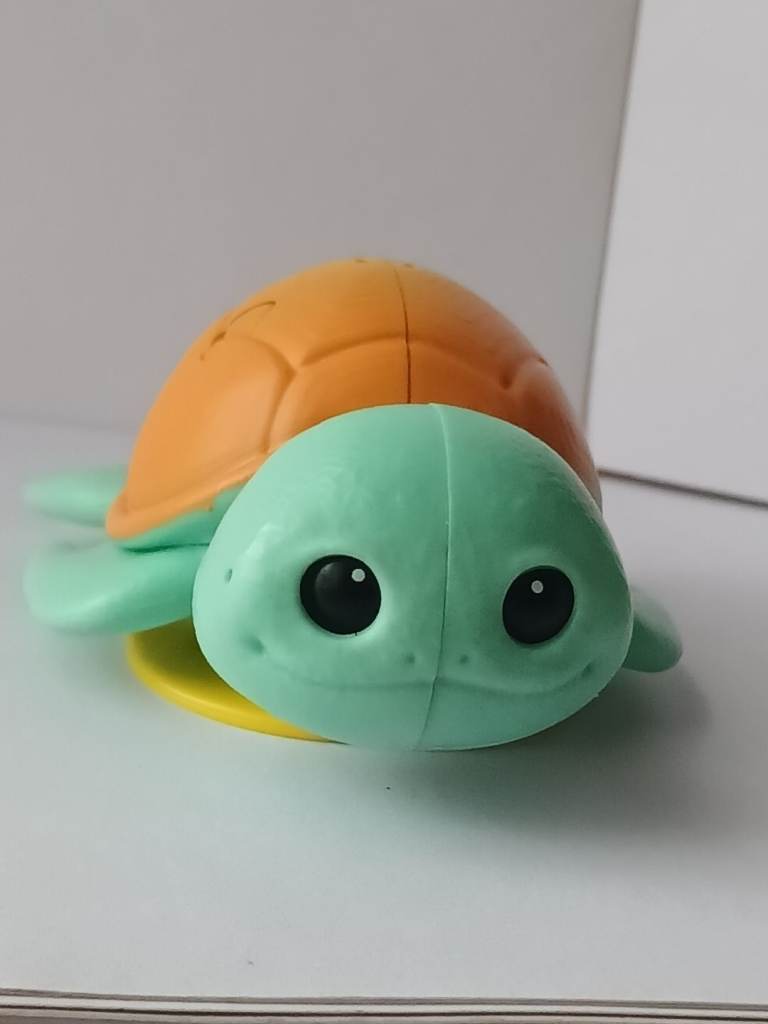 The Sunny Shell-Talker