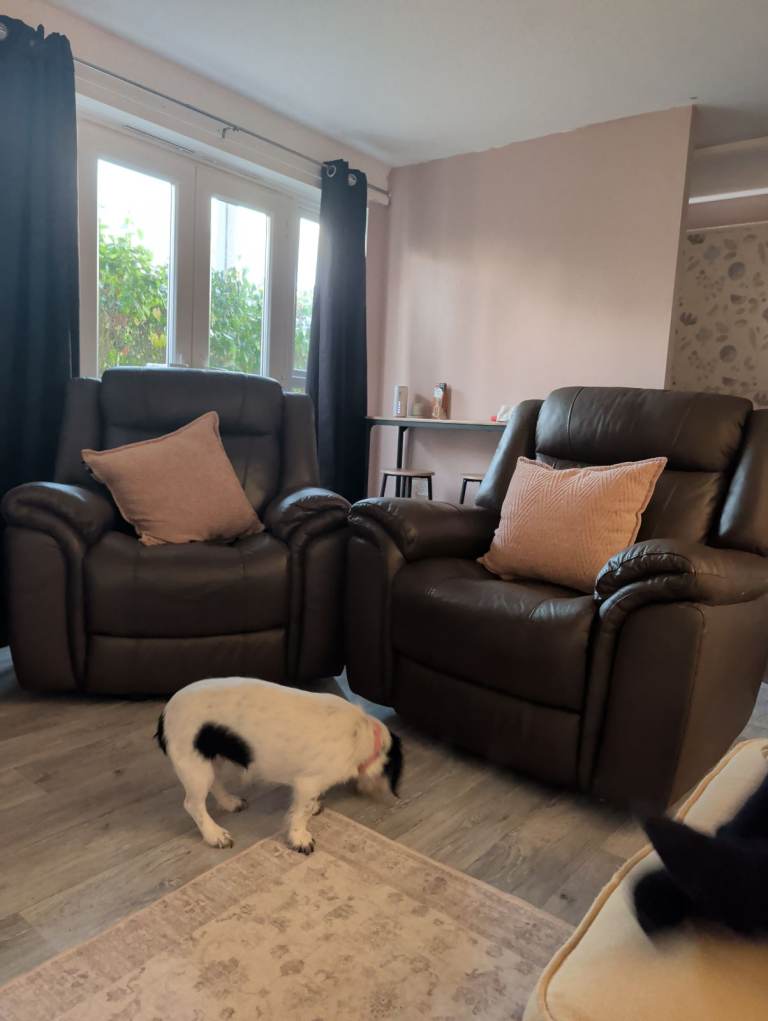 Pair of Brown Leather Armchairs – Good Condition