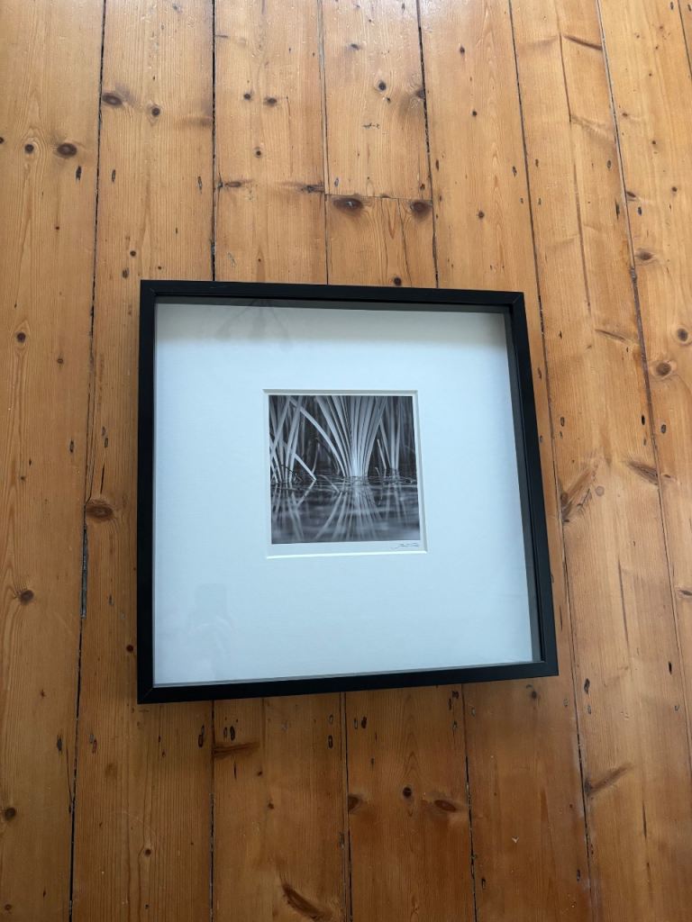 Large box framed black & white print (53x53cms)