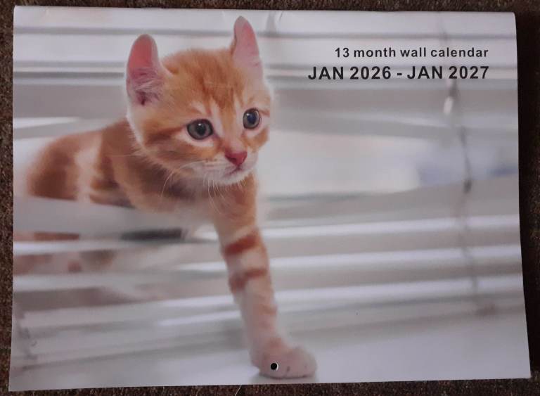 image for only £3.99 !-  Greek cats - Monthly Wall Calendar for 2026 - good size - brand new - sealed