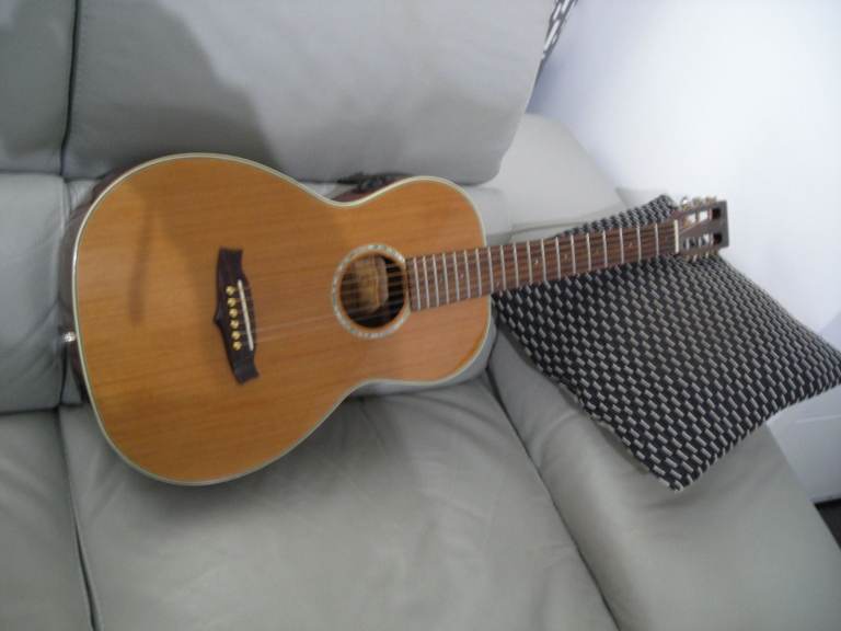 TANGLEWOOD TW73 PARLOUR--SOLID WOODS--B BAND ELECTRICS