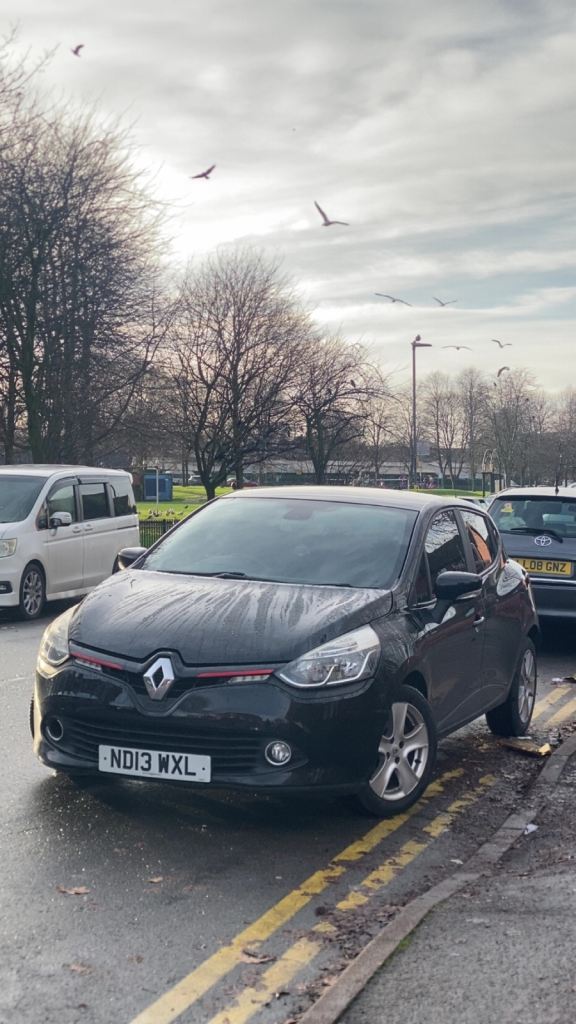 Renault, CLIO, Hatchback, 2013, Manual, 1149 (cc), 5 doors