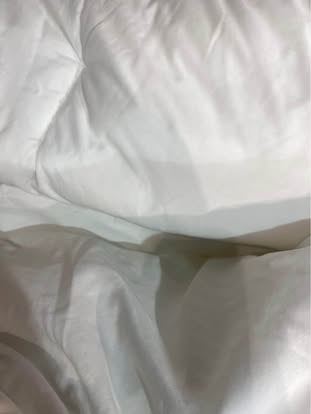 Single Winter duvet and 2 pillows - £9 (Wallisdown)