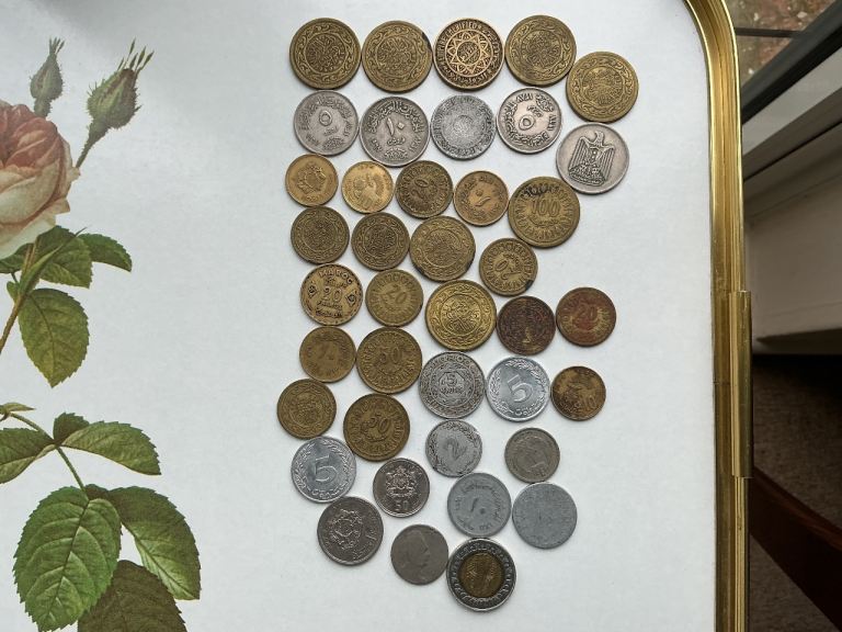 COINS. ARABIC COINS